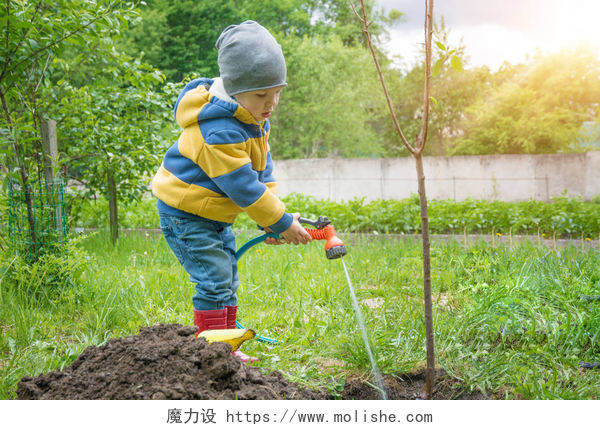 花园里的小男孩浇树种植树苗这个小男孩在花园里，浇树种植树苗从软管股, 